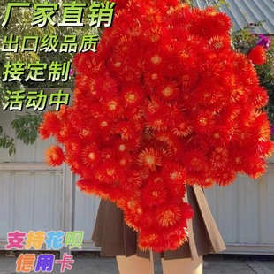 ���l�M�ں�ѩɏ��ʯ�������ɻ����û���Ƶ��Ĕz���߾W�t�Y�з�ʽ