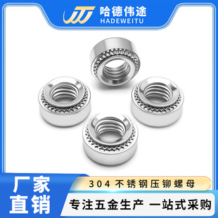 304���P䓉��T��ĸCLS-M2/M3/M4/M5/M6/M8/M10���X��ĸ�A���k���T