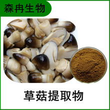 草菇提取物 稻草菇浓缩粉 多糖 比例萃取 植物提取原料粉有机