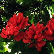 ձ໨Lٻֲv໨ͺͥԺ̨