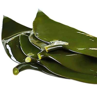 Kelp Special thick wholesale fresh Salted Sea cabbage Kelp dried food 5/2 Jin daifa wholesale
