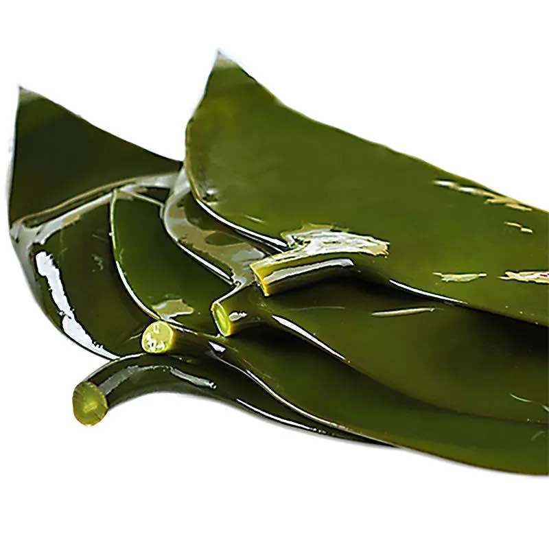 Kelp Special thick wholesale fresh Salted Sea cabbage Kelp dried food 5/2 Jin daifa wholesale