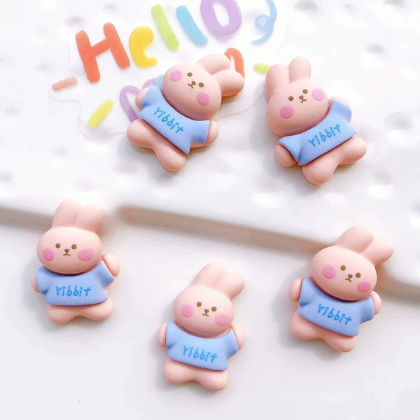 Pink rabbit blue clothes