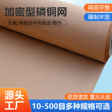 厂家定制磷铜网18-500目黄铜防辐射网电磁波信号屏蔽防静电接地网