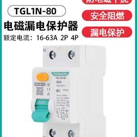 天正TGL1N-80电磁式小型漏电断路器2P 4P隔离开关带漏电保护 63A