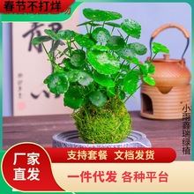 һ�����l̦�\���~�X��ˮ����B�҃���ؔ�����՚�С�����k���Ҳ��