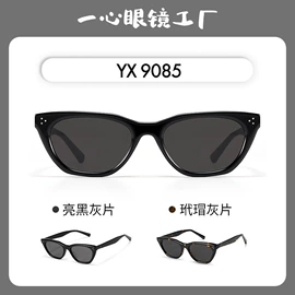 太阳镜;框架眼镜;眼镜片