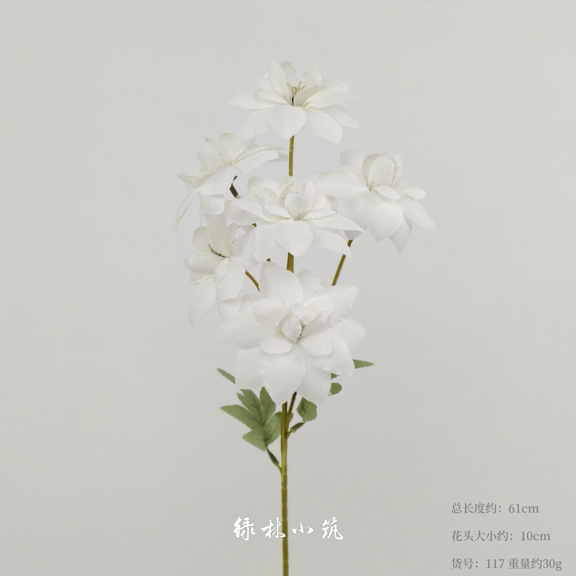 품목번호 117-Xiyan