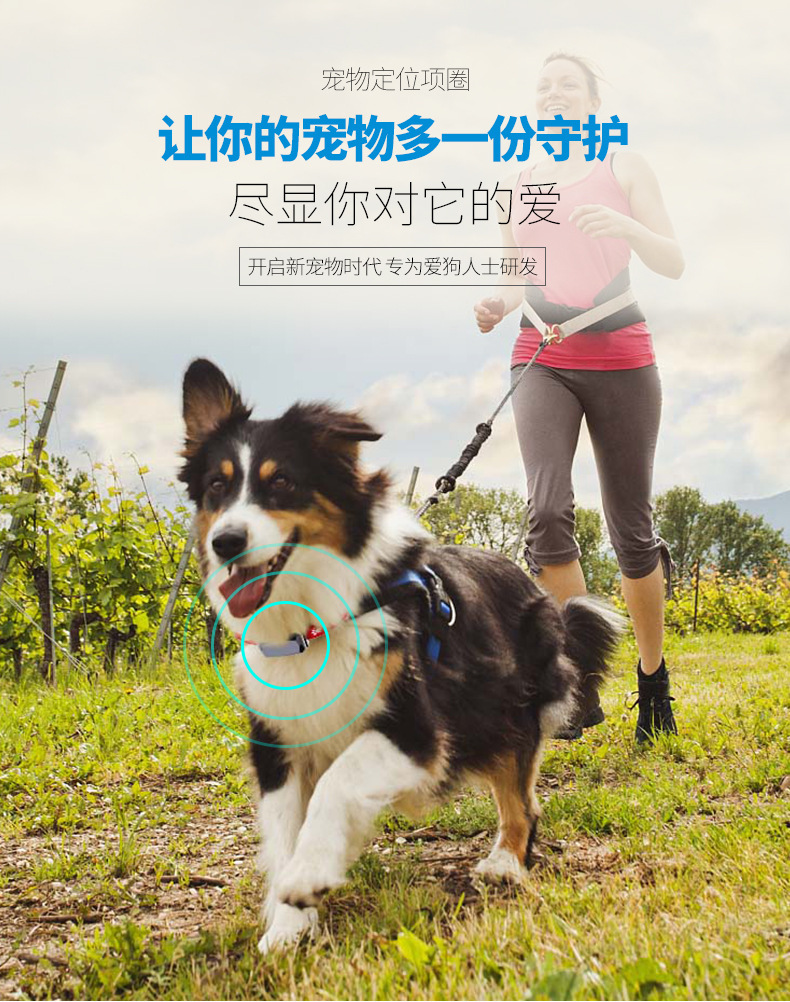 Pet locator GPS tracker cat dog anti-lost tracking collar waterproof Beidou long standby can talk