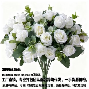 �羳������滨�ٽz�I 5��õ���b����컨 ��ͥ��Y�Ɍ��b��S