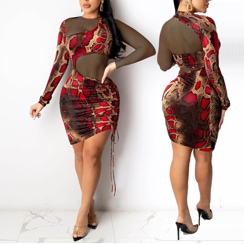 fashion see-through snakeskin print pleated long-sleeved sexy dress NSYMA55310