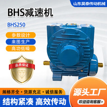 BHSpٙCC΁݆΁U݆BHS250ͬSʽX݆BHSpٙC