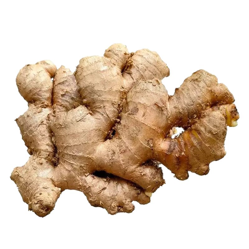 高端头发发夹