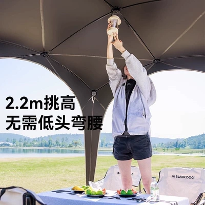Avtomobil yan çətirləri — and Rainproof Dome Awning