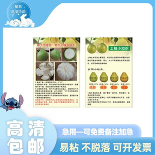 ���������ΰ��b�˺�ӡ�ư��������N�����ܹ����Ĥ�����zӡˢ