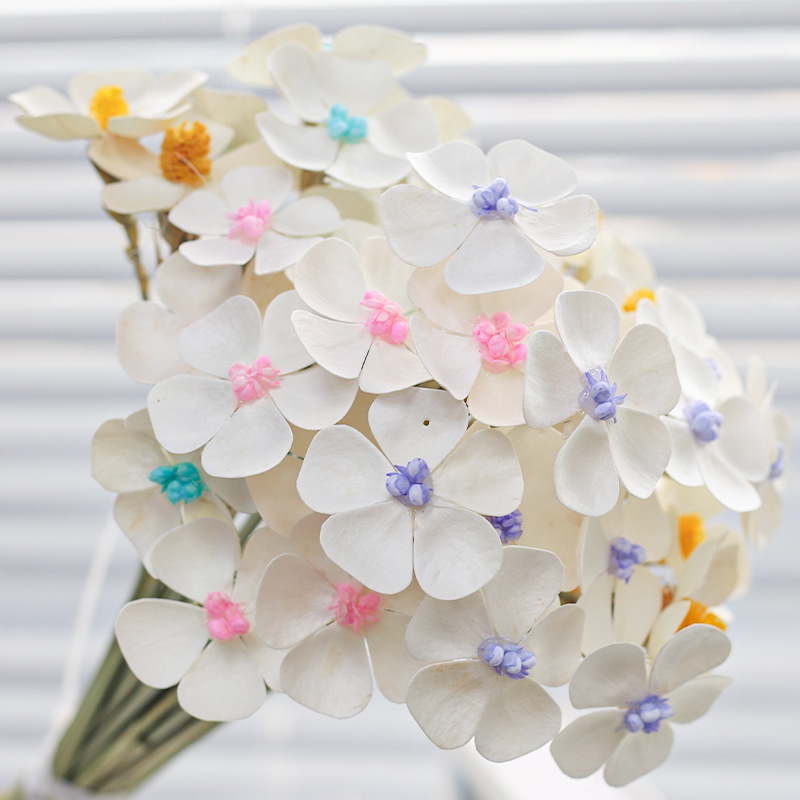 网红五瓣花紫罗兰永生花居家客厅花瓶插花时尚装饰抖音小红书批发