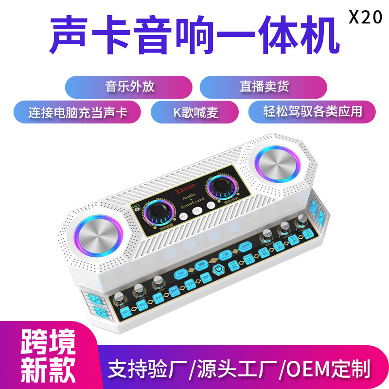 X20 Direct-Operated Chinese Version Mobile Phone and Computer Live Streaming Singing Dual-Microphone Speaker Sound Card All-In-One Device Wholesale