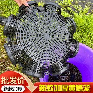�X�\���������X�~�\�Ӻ�ɫ���X�������q�\�A���U���~�r�\�S��
