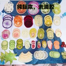 真水果草莓橙子切片标本压花教学展示创意滴胶干花材料不含滴胶