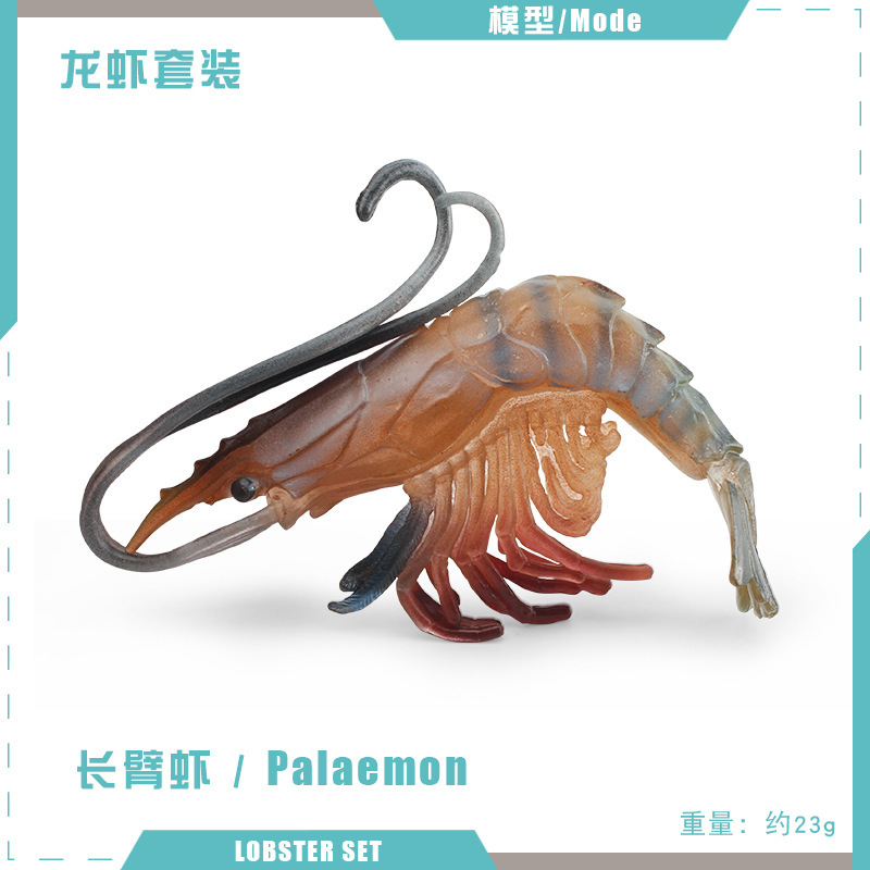 Camarones de brazo largo PL127-1173 23g