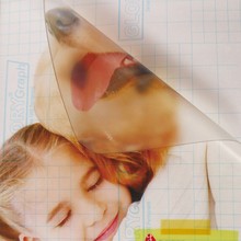 LzN܇̈V͸oĤNb͸