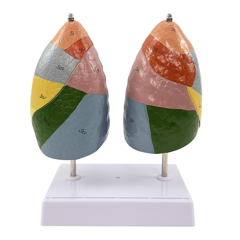 ɫ�ַζ�ģ�� �����ģ�� ��ɫ������ �ν��� ����ϵͳ �ζη���