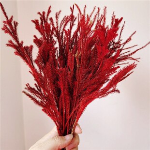 ʯ�ɼҾ��b廨��������޹Ϟ�T���ܛ�b�ɻ�dried flower����