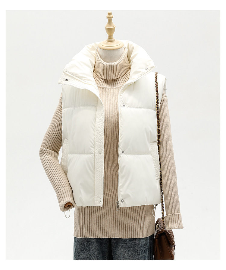 外国貿易のクロスボーダーのダウンの綿服の馬甲の女性は綿の服の短いタイプの秋冬の修身の袖なしの肩の上着の馬を着て潮を挟みます。