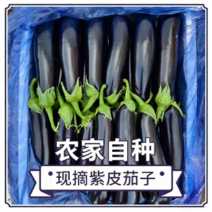 �������L��ɽ�|�۹������Ƥ���ӟ������Ӽt�����ӾG����ɫ�L����