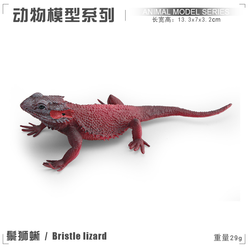 PL127-3894 Bearded Dragon Lizard 29g