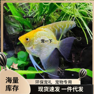 ���~�~���~�����Ꭷ�^�p�~С���~��ī���߲��~�߲��~