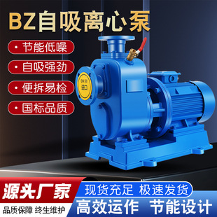 �����ơ�BZ�����ø�Ч��������ˮ�÷������������x�ı�