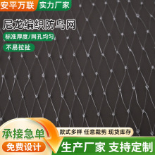 尼龙材质编织网防猫王网格2.5cm小包装发货防虫加粗园艺耐用pp