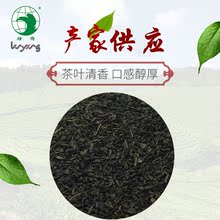 廠家供應 白茶 綠茶葉珠 歐洲供應珠茶3505A3505b