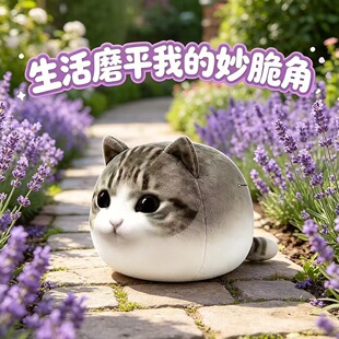 �W�t�ɐ�����С؈��Ц�޻�����ë�q����؈�䱧������Ů���ѶY��