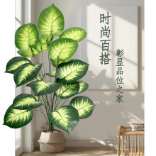 �羳���W������������f�������ֲ���҃ȿ͏d�bGֲ�[�O����