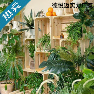 ��ľ�ռ{�����ֲ��ľ���b��ж��^ľ�������ľ����ˮ��չʾ��