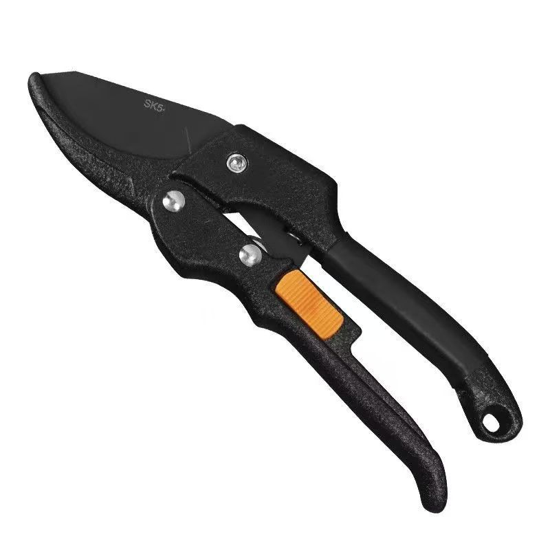 微信图片_20250626153743