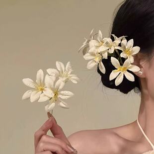 2026�����¿�Շ�����������l����ʽ�^���l߼��Ђ�߅�l���^�