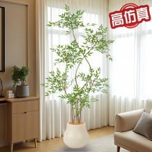 ����Gֲ�߶��p���҃����Դ�������b[���͏d�Gɫ��ֲ��������