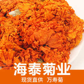 批发散装万寿菊产地货源新货万寿菊菊花茶花草茶万寿菊花货源直销