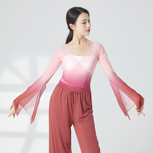 Classical dance practice clothes, rhyme clothes, gauze clothes, Chinese dance dance clothes, women's elegant tops, body performance clothes