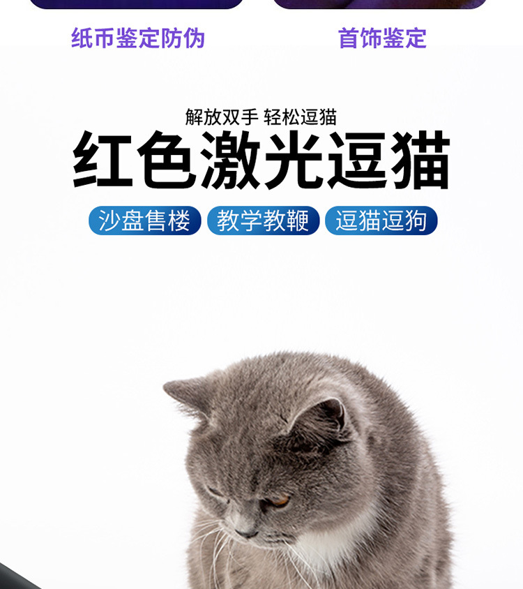 新款三合一手电750_09