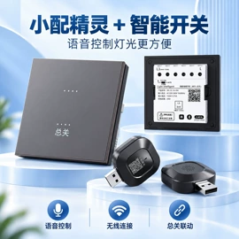 智能开关;开关电源;感应开关