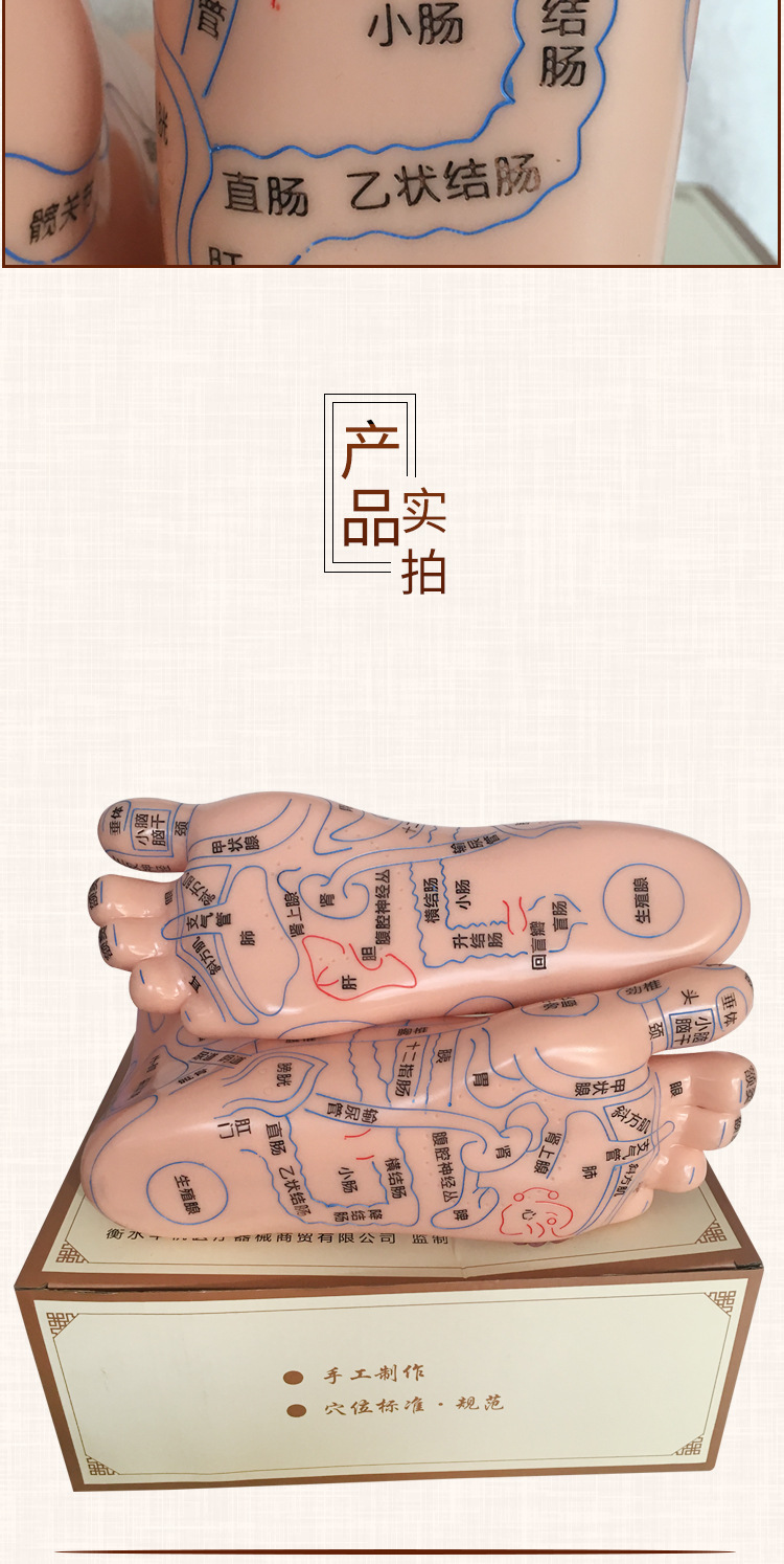 Foot Acupoint Reflexology Model with Clear Markings, Foot Reflex Zone Massager, Acupoint Stick, PVC Foot Model for Home Wellness Routine detail image