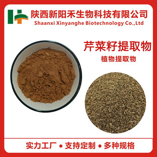 �۲�����ȡ�� �۲��ѷ� �۲��Ѷ��� �۲�����ȡ�� �۲������