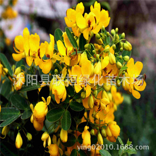 ������ֱ�N���S�����N�Ӯ����²�֧��؛������G���������]