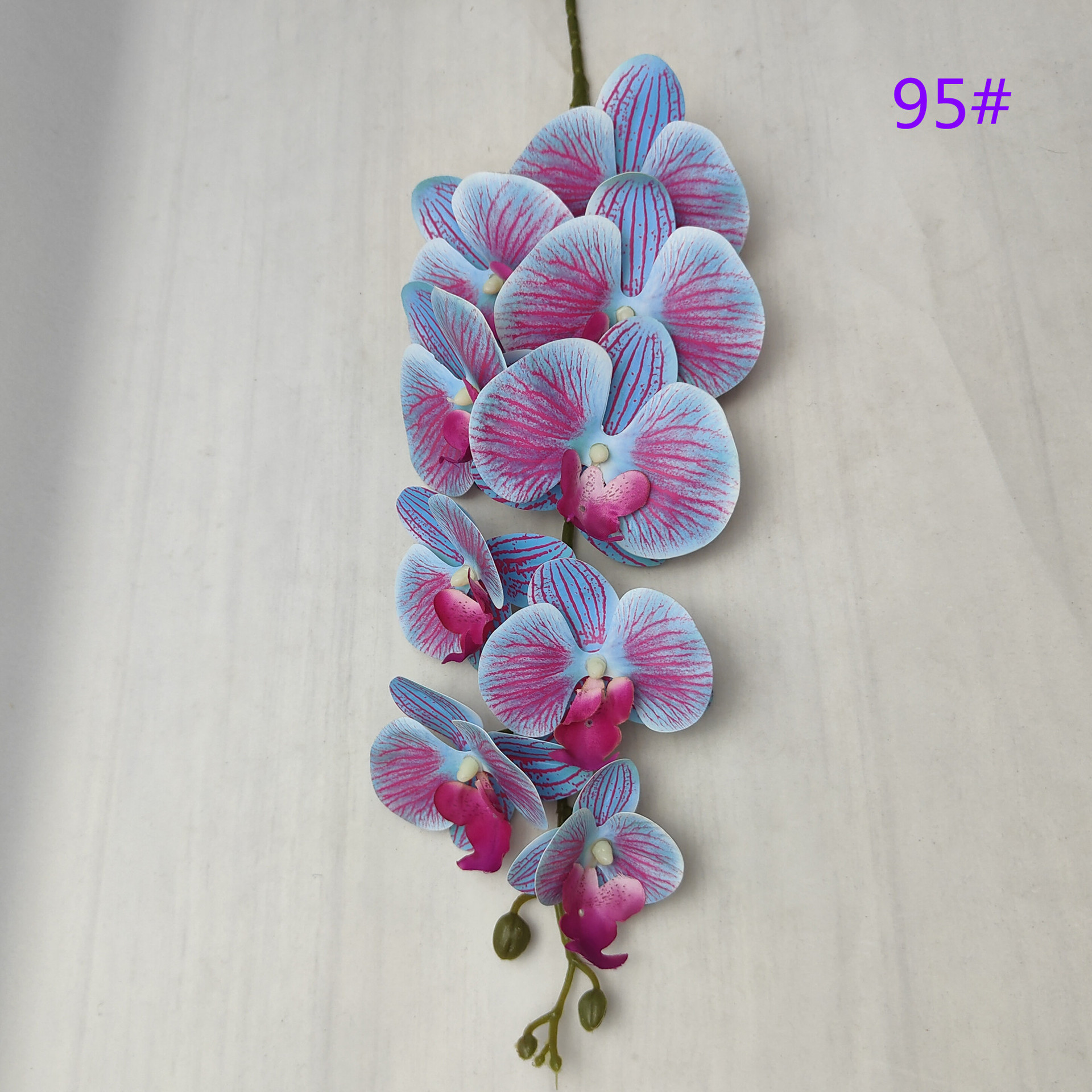 IMG20230509162556_副本