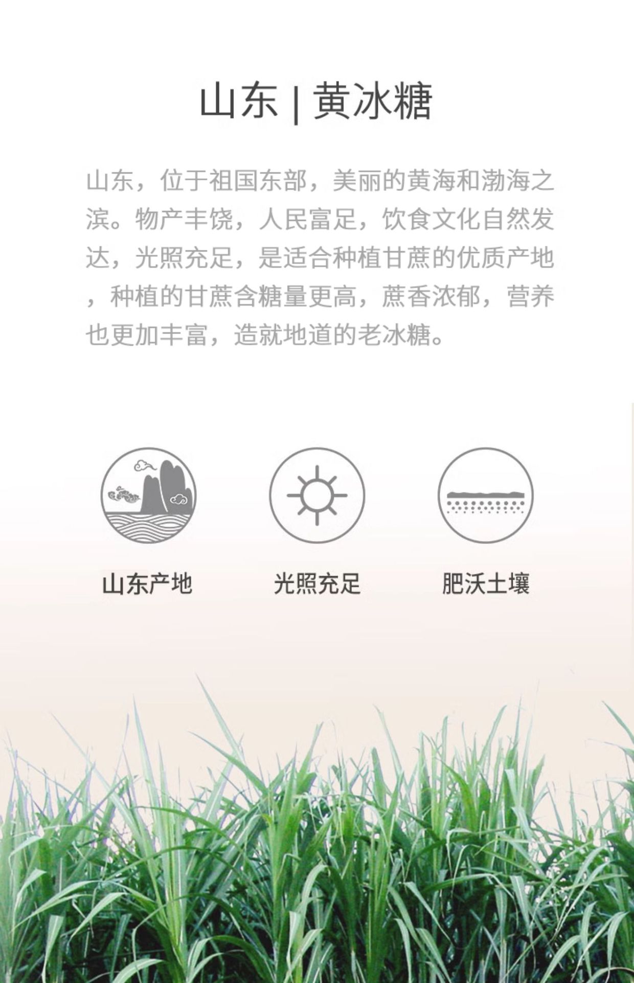 O1CN015HMcGW2KaUVjetrXY_!!3345139573-0-cib.jpg?__r__=1721362752400