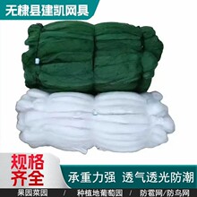 出口泰国缅甸 尼龙防鸟网 果树防护网厂家直销樱桃树果树防鸟网